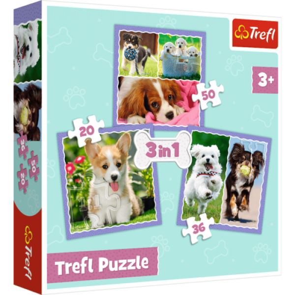 3 Puzzles in 1 - Adorable Dogs