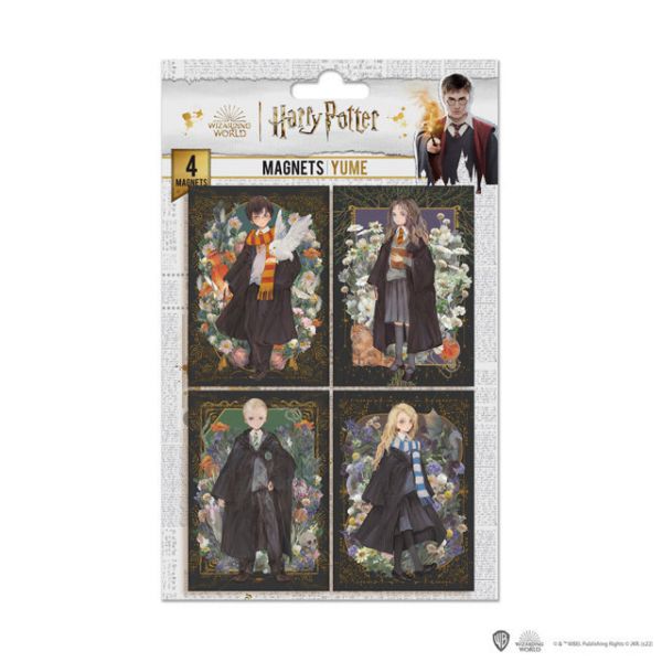 Set di 4 magneti - Portraits characters - Harry Potter