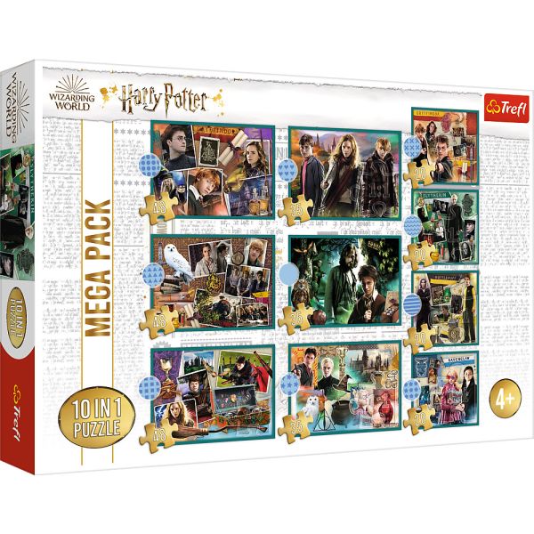 10 Puzzle in 1 - Harry Potter: Nel Mondo di Harry Potter