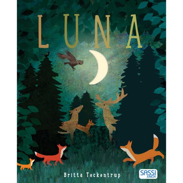Luna NEW EDITION 2020 (Illustrated Books) 