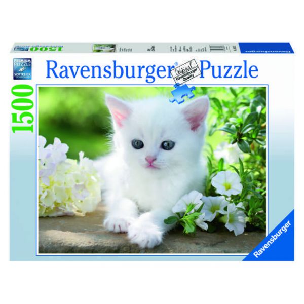 1500 Piece Puzzle - White Kitten