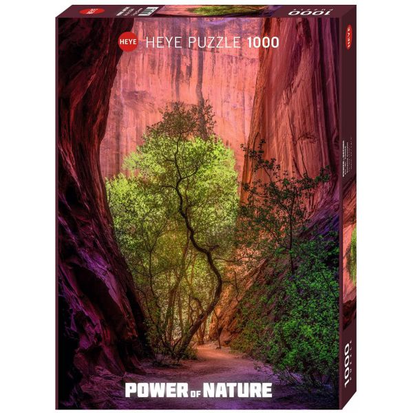 Puzzle 1000 pz - Singing Canyon, Power of Nature