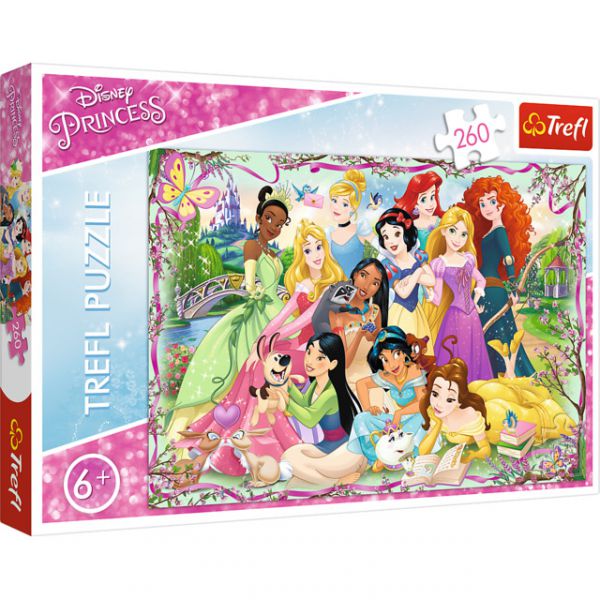 260 Piece Puzzle - The Reunion of the Princesses