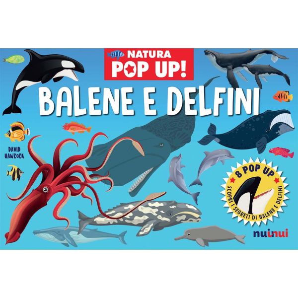 Nature pop up Whales and dolphins 