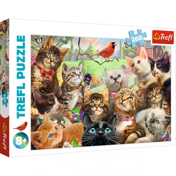 260 Piece Puzzle - Kittens
