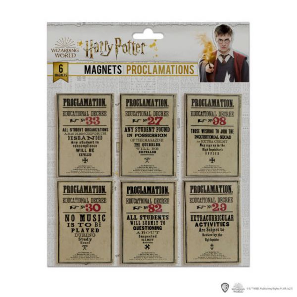 Harry Potter - Set of 6 Educational Decrees Magnets