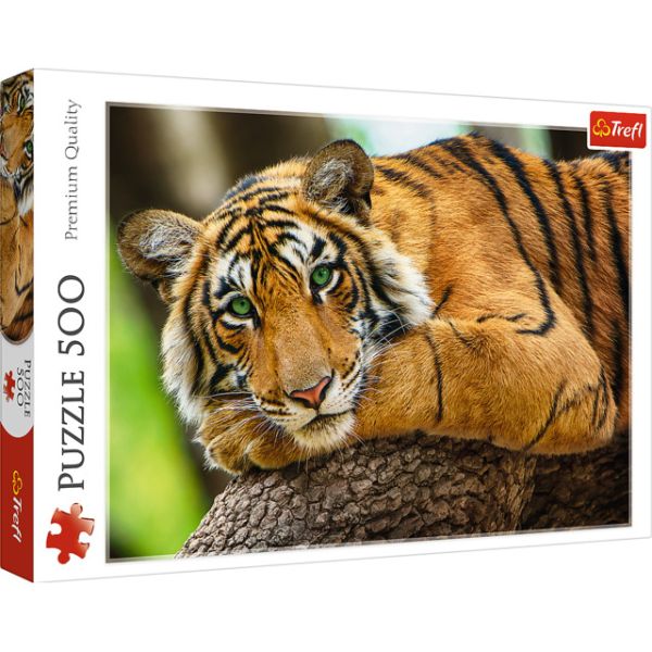 Puzzle da 500 Pezzi - Ritratto di una Tigre