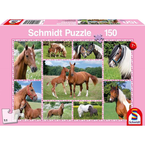 Puzzle da 150 Pezzi - Cavalli da Sogno