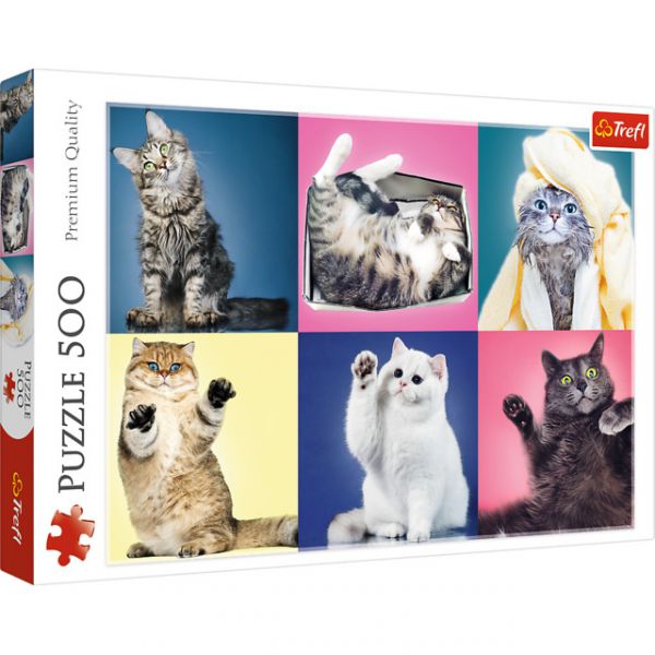 500 Piece Puzzle - Kittens
