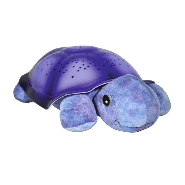 Twilight Turtle Purple                   