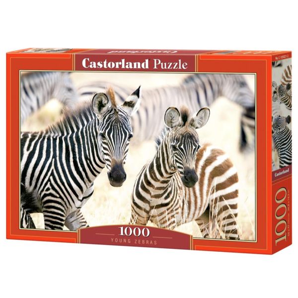 Puzzle 1000 Pezzi - Young Zebras