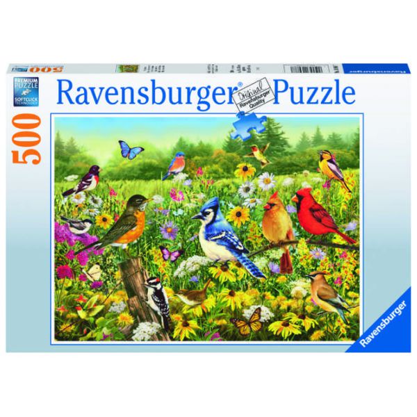 500 Piece Puzzle - Birds in the Field