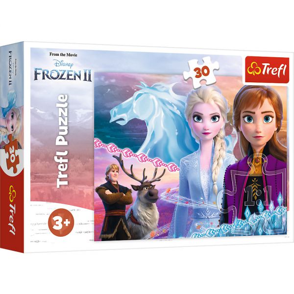 Puzzle da 30 Pezzi - Frozen 2: Il Coraggio delle Sorelle