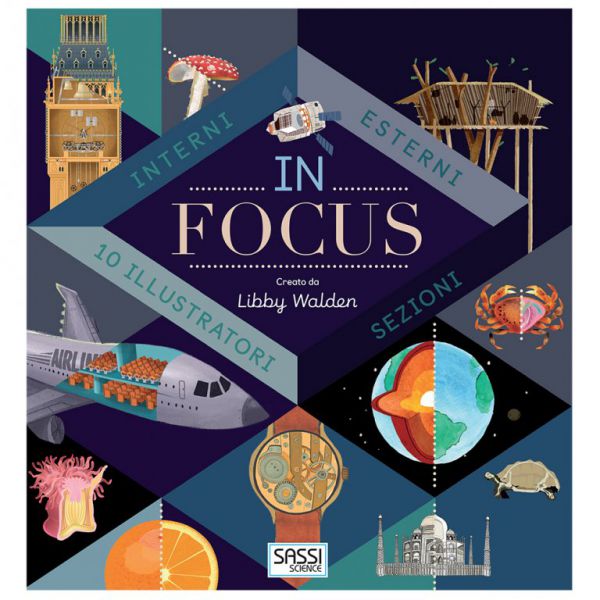 In Focus - 2018 Edition