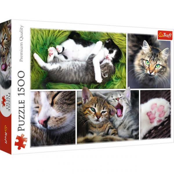 Puzzle da 1500 Pezzi - Just cat things - collage 