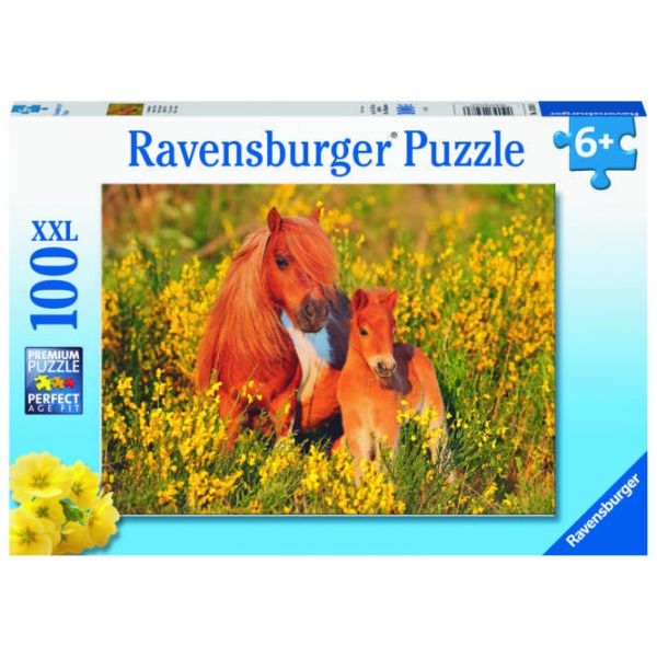 100 Piece XXL Puzzle - Shetland Pony