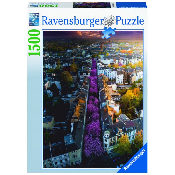 1500 Piece Puzzle - Bonn in Bloom