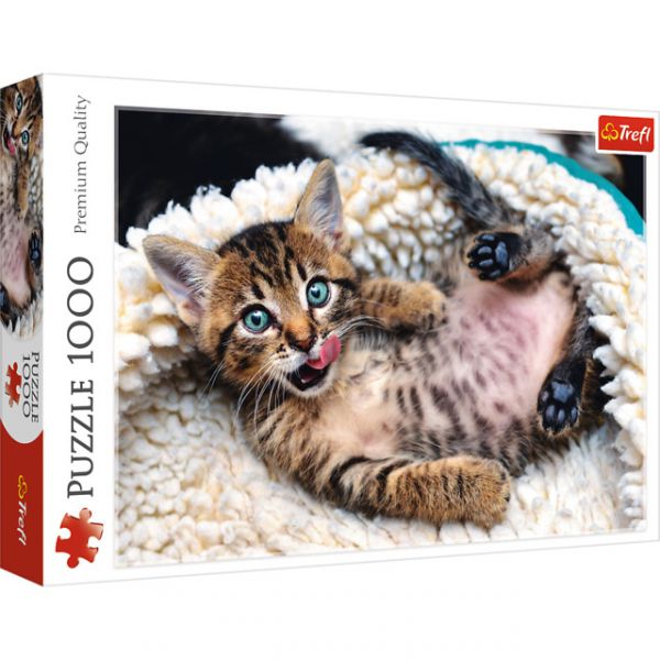 Puzzle da 1000 Pezzi - Cheerful kitten
