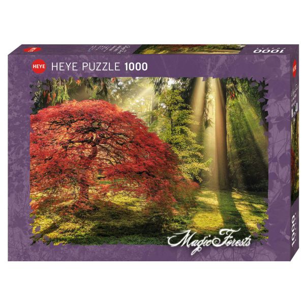 Puzzle 1000 pz - Guiding Light, Magic Forests